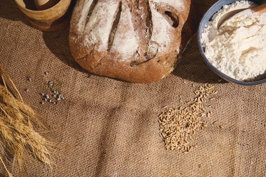 View from above of a traditional homemade whole grain sourdough rye bread, a blue ceramic bowl of white flour, spikelets of wheat and cereal grains scattered on the burlap tablecloth. Copy ad space