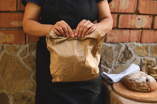 Cropped view of female baker, artisan bakery shop worker in black apron, holding an eco paper bag with packed fresh traditional whole grain bread for sale, standing against a red brick wall background