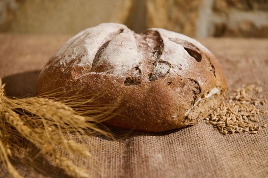 Close-up of a homemade wholesome multigrain sourdough bread, grains scattered on the burlap surface, and blurred wheat ears on the foreground. Artisanal bakery. Healthy baking items enriched in fiber