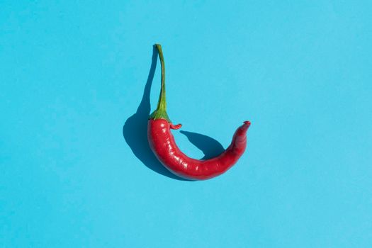 red hot pepper on a blue background with a hard shadow. High quality photo