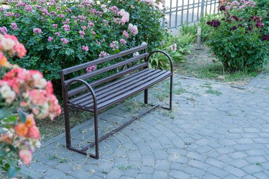 an empty bench on the street surrounded by roses. photo