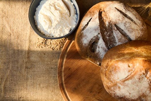 Assortment of loaves of fresh baked homemade whole grain and multigrain bread, on a wooden board with wheat spikelets, and white flour