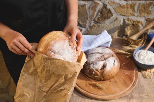 Close-up. Selective focus on the hands of a baker packing a loaf of traditional homemade sourdough bread into an eco paper bag in the artisanal bakery shop. Food consumerism. Small business