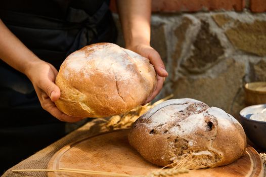 Details: baker hands holding round loaf of homemade sourdough bread, over a wooden cutting board with fresh baked whole grain rye bread and wheat ears. Healthy food, pastries enriched in dietary fiber