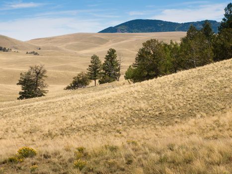 Colorado's hilly landscape in early autumn.