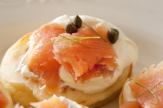 Macro close up on biscuit with creme cheese, dill leaves, capers and pink salmon meat as appetizers