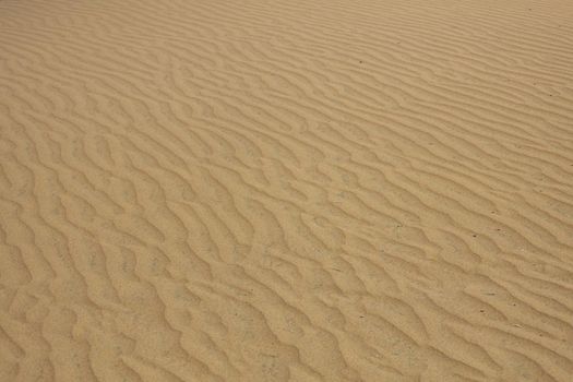 Gran Canaria dunes - Maspalomas sand desert. High-quality photo