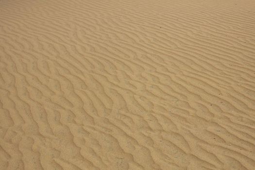 Gran Canaria dunes - Maspalomas sand desert. High-quality photo