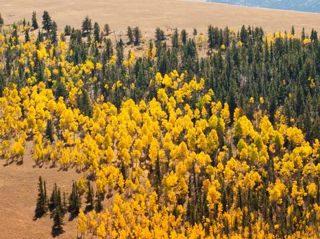 Autumn landscape in Colorado.