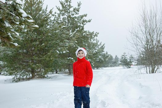 a teenager in a red sweater and a red santa claus hat walks in the winter in the park, near the pines in the snow, smiling. copy space