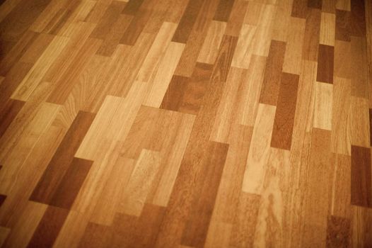 modern polised wood floor