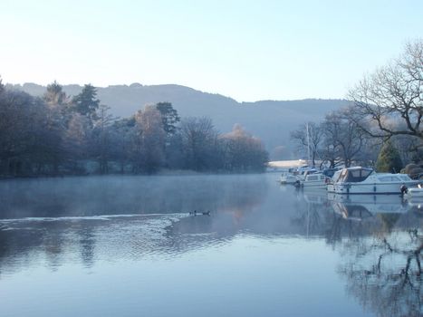 a restful winter scene, still water and trees, lake windermere, uk