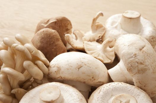 Assortment of fresh whole edible mushrooms including shitake, shimeji and agaricus bisporus or button mushrroms lying in a heap on a wooden chopping board ready to be used in cooking a meal