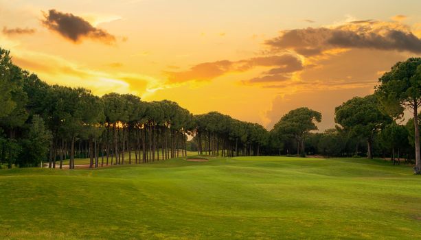 Golf course at sunset with beautiful sky. Scenic panoramic view of golf fairway