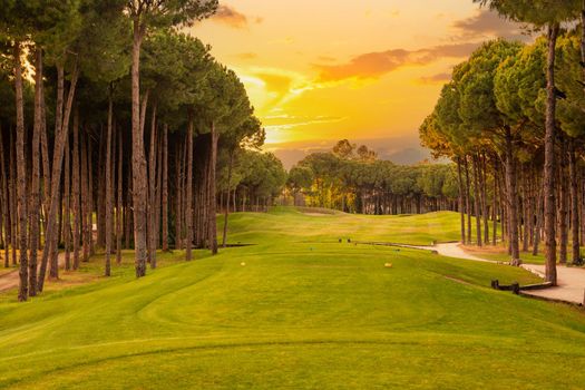 teeing area at Golf course at sunset with beautiful sky. Scenic panoramic view of golf fairway