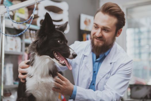 Happy handsome bearded vet doctor examining adorable black dog at his clinic. Friendly veterinarian petting lovely black puppy. Healthy animals concept