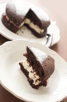 Close up Small Piece of Sweet Chocolate Cake on a White Plate