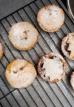Traditional home baked fruity Christmas mince pies with golden crisp pastry crusts sprinkled with icing sugar on a rack in the kitchen, overhead view