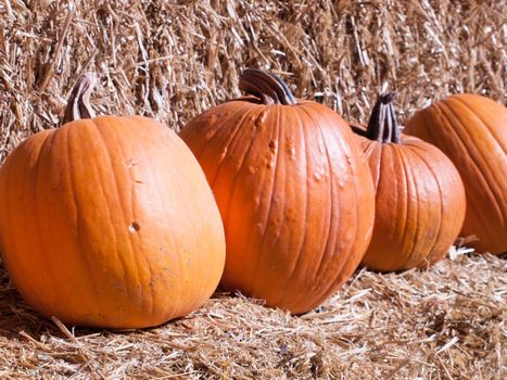 Pumpkins sitting on a bail of straw.