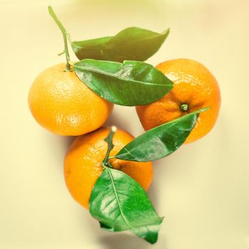 Ripe juicy mandarines in vintage style - retro still life and healthy nutrition concept. Tangerine delight