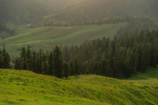 Green slopes of mountain of Bakhmaro resort in Guria, Georgia