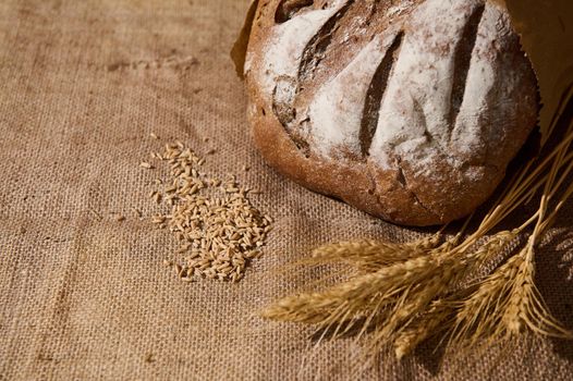 View from above of a homemade whole grain sourdough bread, wheat grains and spikelets on the sackcloth surface. Still life. Selective focus. Copy advertising space