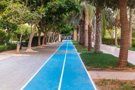 Jogging and cycling tracks at the park.