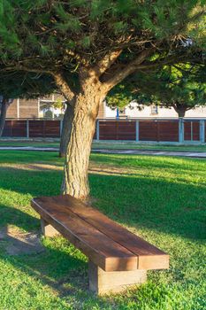 Wooden bench in the park in the rays of the setting sun