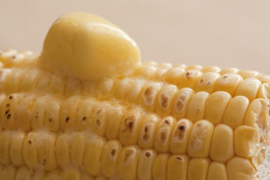 Close-up of corn cob with melting butter on top