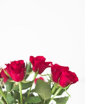 Tender bouquet of red roses, floral gift and beautiful flowers closeup