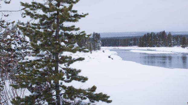 Winter landscape with frozen river in the Great Teton national park.