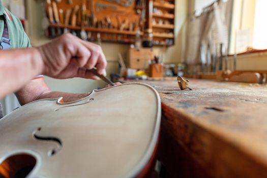 violinmaker at work in his italian workshop