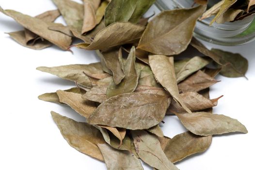 Dried bay leaves from the laurel tree used as an aromatic herb and seasoning in cooking
