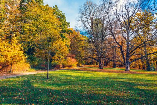 Autumn scene, fall,  red and yellow trees and leaves in sun light. Beautiful autumn landscape with yellow trees and sun. Colorful foliage in the park, falling leaves natural background