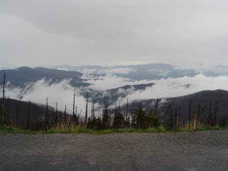 a generic wilderness alpine mountain view
