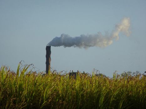 Industrial chimney or smokestack on a factory or plant belching smoke into the air polluting the atmosphere with greenery in the foreground