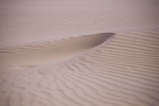 patterns in wind blown sand