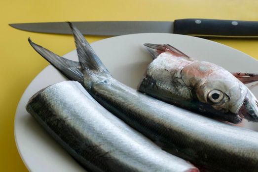 Fish filleting of fresh raw fish in a kitchen with the severed head and body of two fish on a plate during preparation of a seafood meal