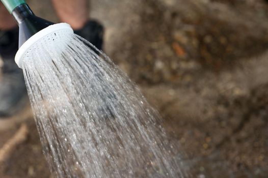 Watering the garden with a watering can with a close up view of the spout and nozzle with a spray of water