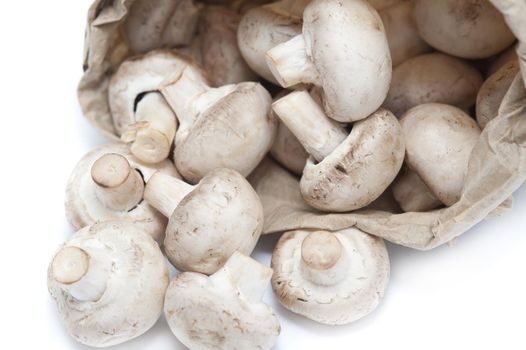 Bag of fresh white button mushrooms, or Agaricus bisporis, spilling out onto the counter ready to be used in savory or vegetarian cooking, close up view