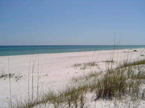 a long sandy beach and dune grasses