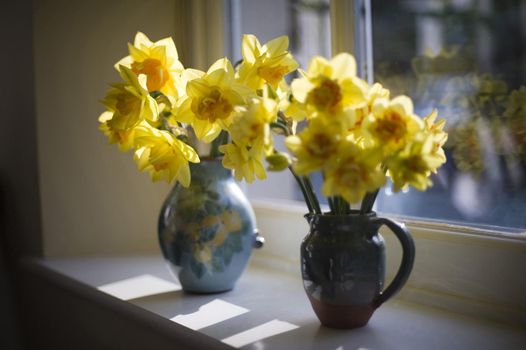 Backlit vases of cheerful yellow spring daffodils standing on a windowsill in the sunshine