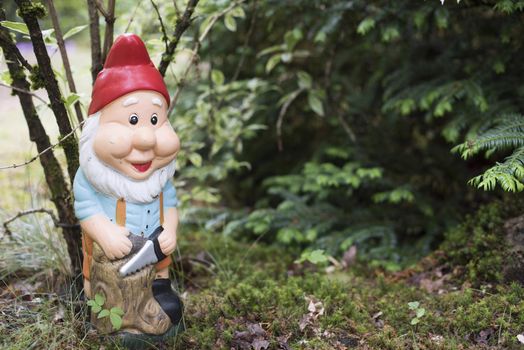 Colorful figure of a garden gnome wearing a red hat in a flowerbed outdoors in front of a leafy green shrub