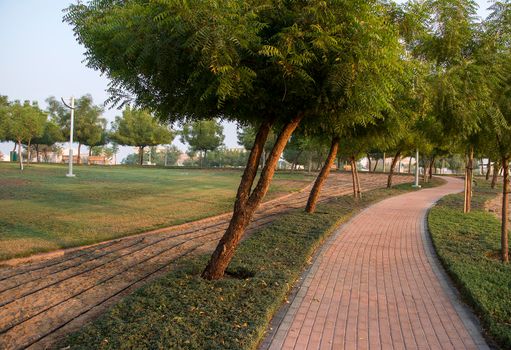 Alley in Al Warqa park of Dubai, UAE. Outdoors