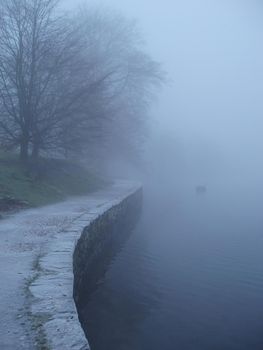 a misty atmospheric lakeside scene