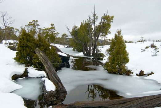 frozen ponds in the solomons jewels area of walls of jerusalem national park