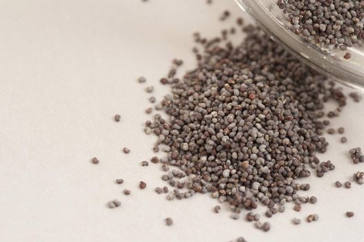 Heap of scattered dried poppy seeds for use as an ingredient in cooking and baking or a garnish