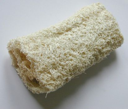 natural bath scrub sponge made from the loofah plant fruit