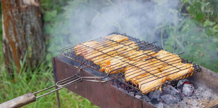 fry chicken skewers on the grill. Picnic in nature. selective focus