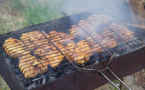 fry chicken skewers on the grill. Picnic in nature. selective focus